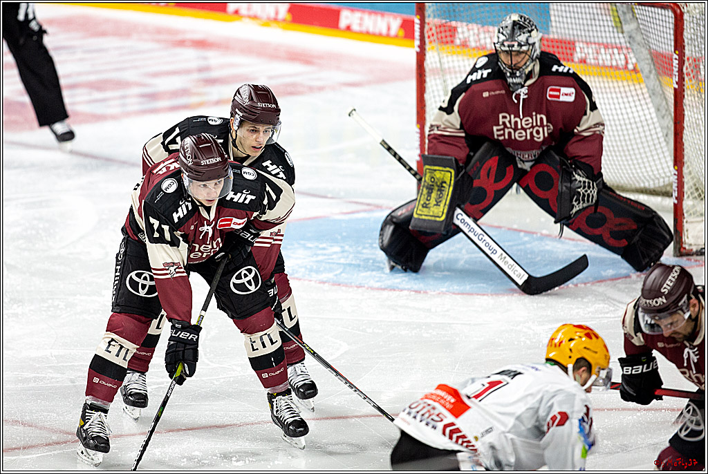 PENNY DEL;  Koelner Haie - Fischtown Pinguins Bremerhaven; Koeln, 12.02.2021